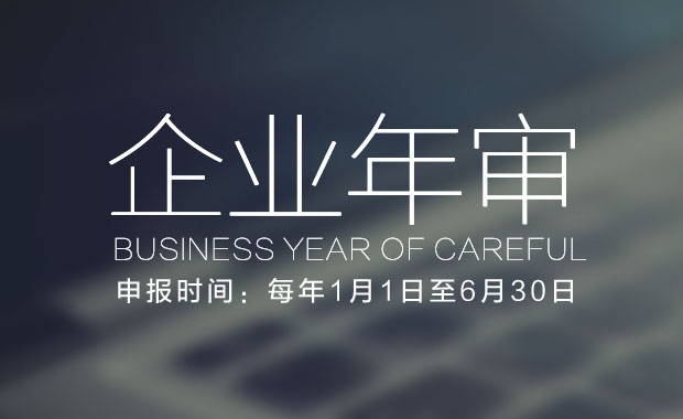 工商年审智能申报软件